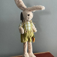 Mr. and Mrs. Garden Bunny