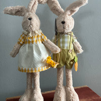 Mr. and Mrs. Garden Bunny
