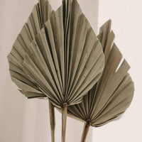 Dried Palm Leaf Spear - Natural