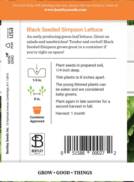 Lettuce, Simpson's Curled Seed Packet (Lactuca sativa)