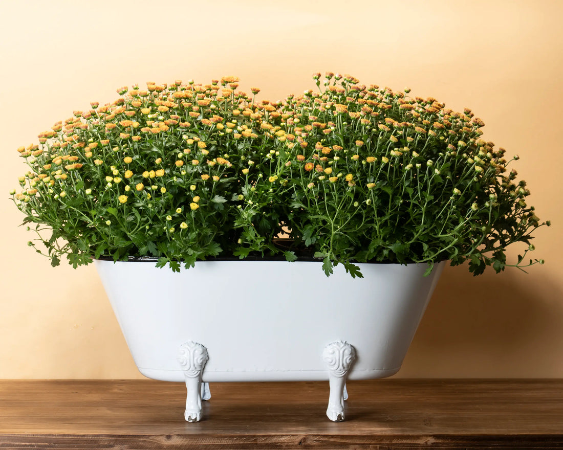 White Enamel Bathtub