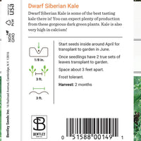 Kale, Dwarf Siberian Seed Packet (Brassica oleracea)