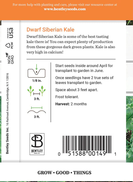 Kale, Dwarf Siberian Seed Packet (Brassica oleracea)