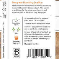 Onion, Evergreen Bunching Seed Packet (Allium cepa)