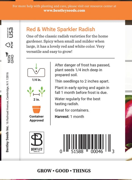 Radish, Sparkler Seed Packet (Raphanus raphanistrum subsp. sativus)