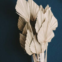 Dried Palm Leaf Spear - Natural