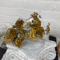 26" Dried Yellow Ageratum Spray