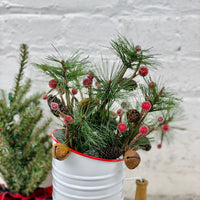 Rusted Bell Pine Pick