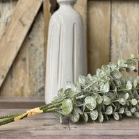 Powder Wash Eucalyptus Bundle