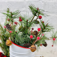 Rusted Bell Pine Pick