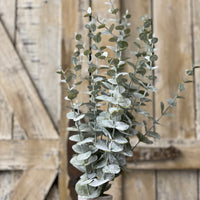 Powder Wash Eucalyptus Bundle