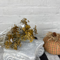 26" Dried Yellow Ageratum Spray