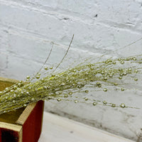 Gold Sparkling Branch