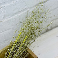 Gold Sparkling Branch