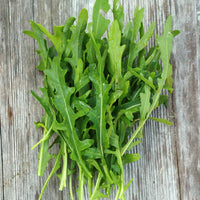 Arugula Seed Packet (Eruca vesicaria ssp. sativa)