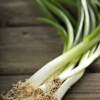 Onion, Evergreen Bunching Seed Packet (Allium cepa)