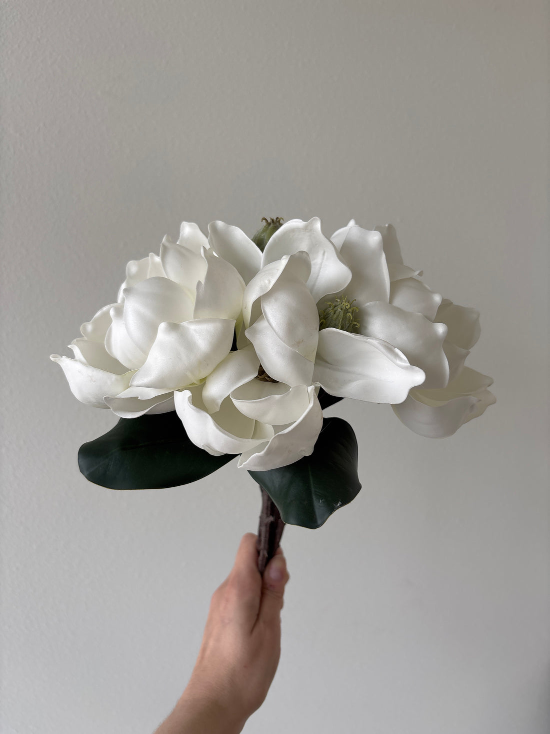 Magnolia Flower Bunch