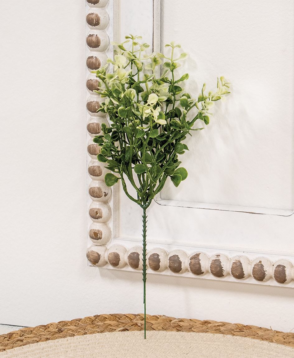 Cream Tipped Baby's Grass Pick - 9"