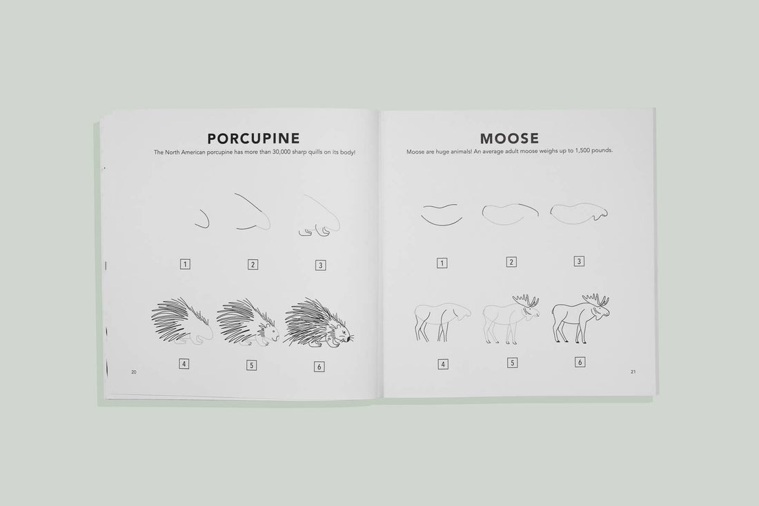 Mushrooms & Woodland Creatures: A Kids Drawing Book