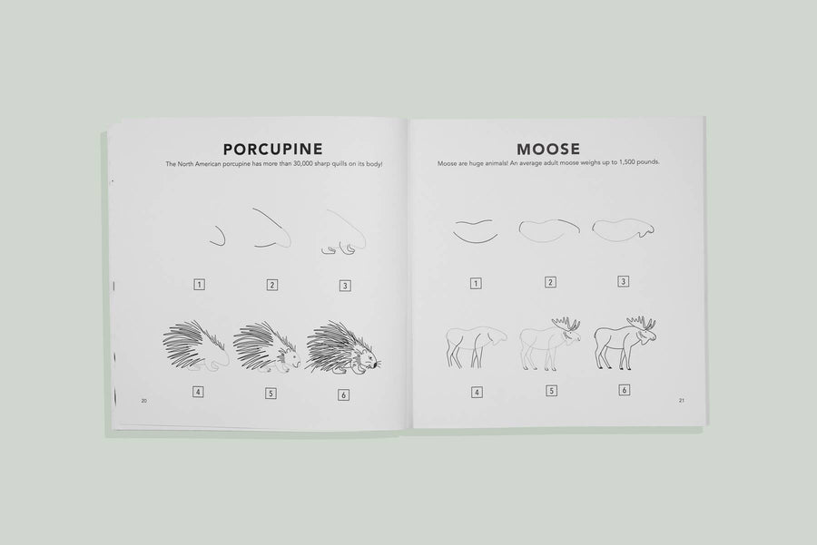 Mushrooms & Woodland Creatures: A Kids Drawing Book
