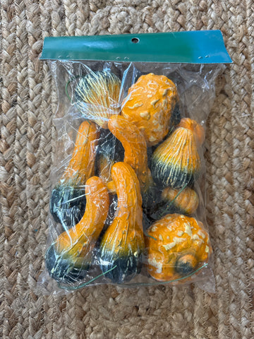 Gourds - 12 Pieces With Wire