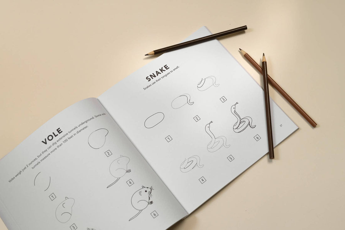 Mushrooms & Woodland Creatures: A Kids Drawing Book