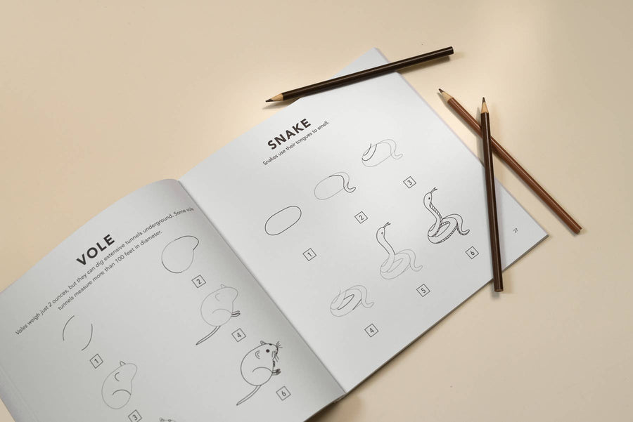 Mushrooms & Woodland Creatures: A Kids Drawing Book