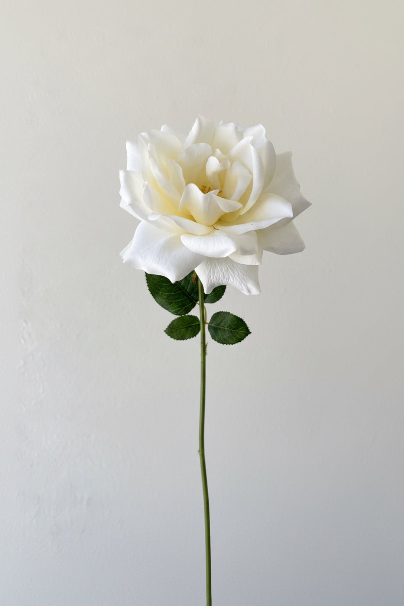 Cream Tea Rose Stem