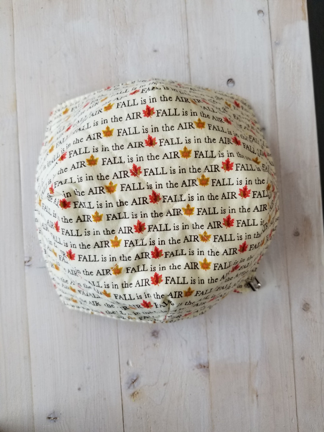 Fall Is In The Air Bowl Cozy
