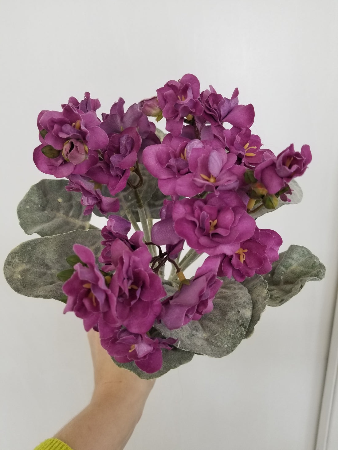 12" African Violet Bush Pick