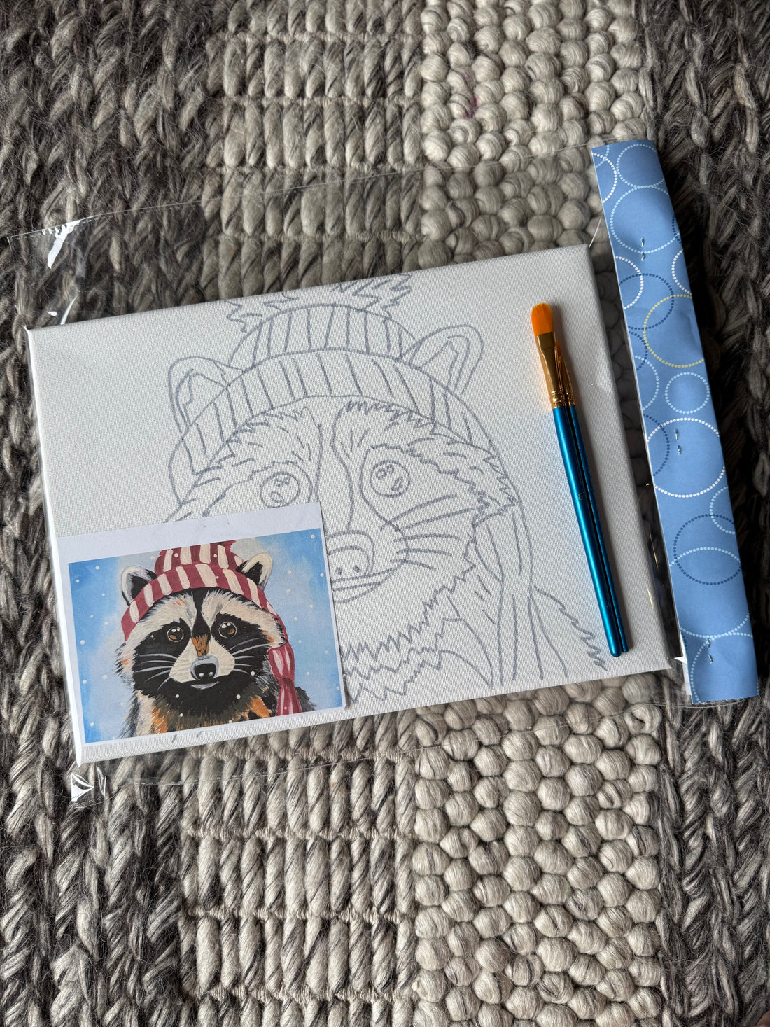 Art Kit - Winter Raccoon