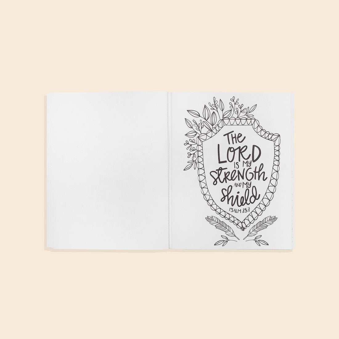 Beauty in the Bible 2