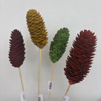 Single Pinecone Flower