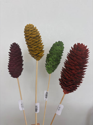 Single Pinecone Flower