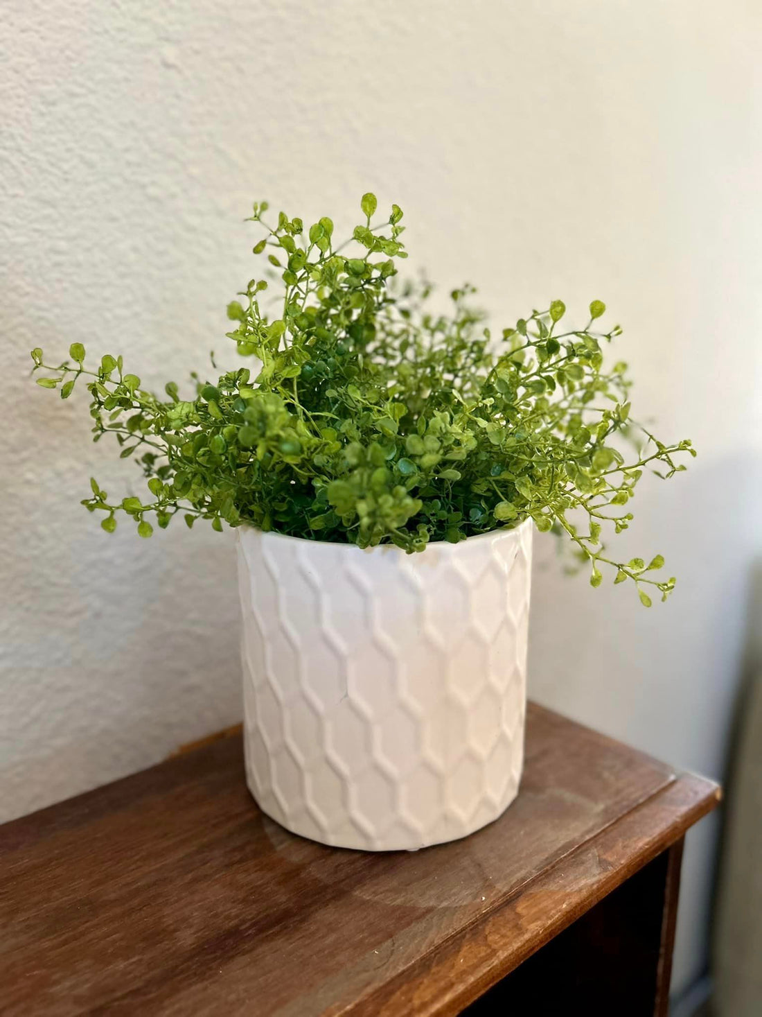 Greenery In Geometric White Planter