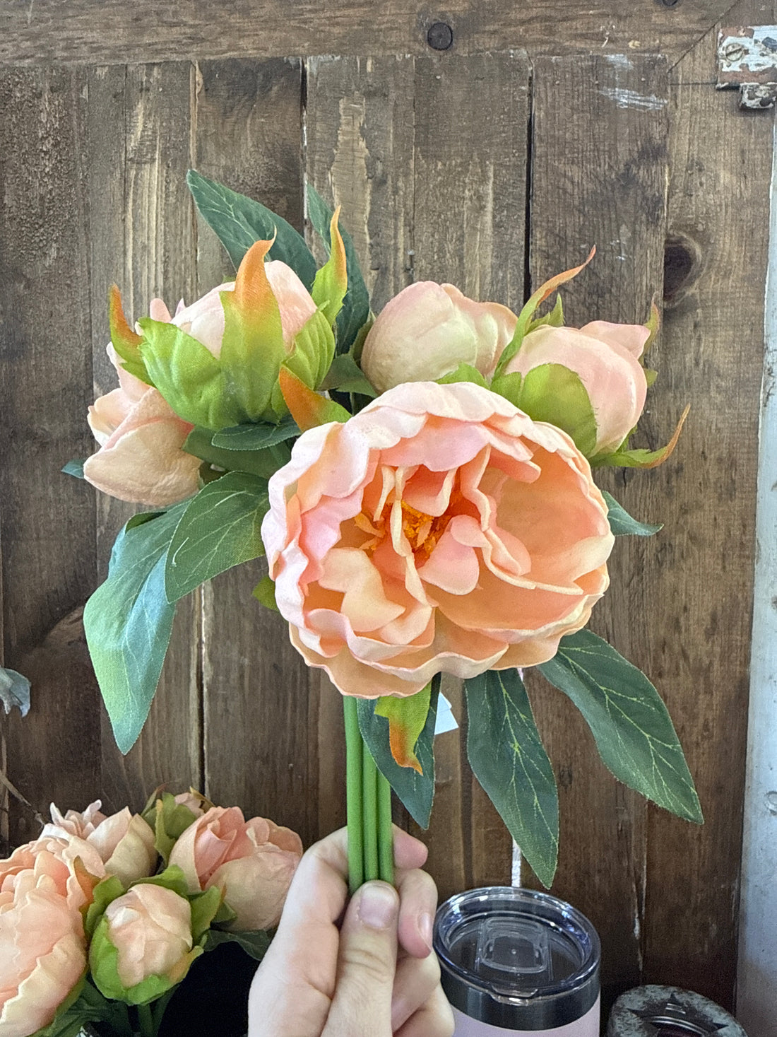 11" Peony Bundle - Peach