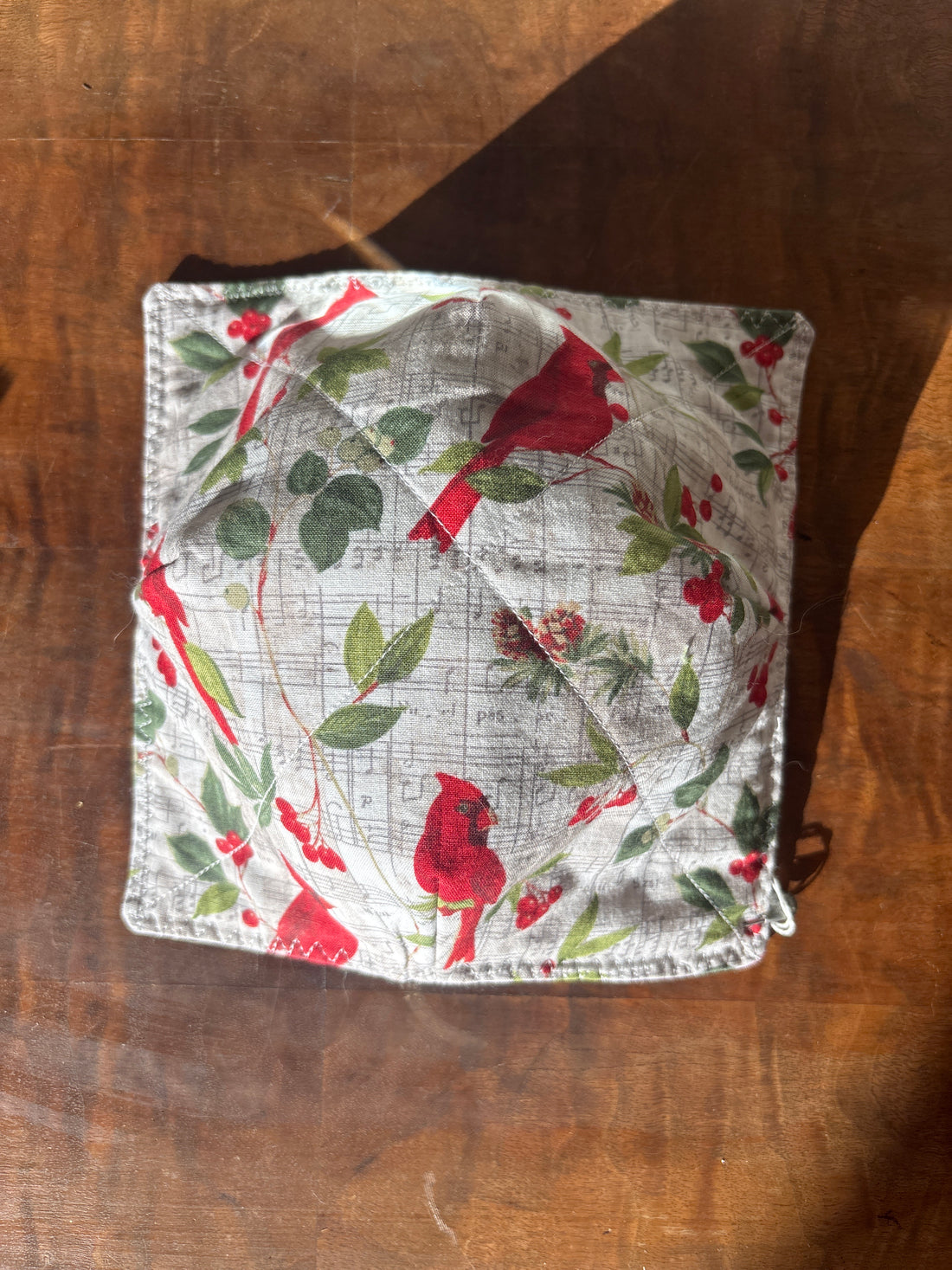 Cardinals + Music Bowl Cozy