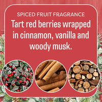 Fresh Scents Red Door Wreath Scented Sachet