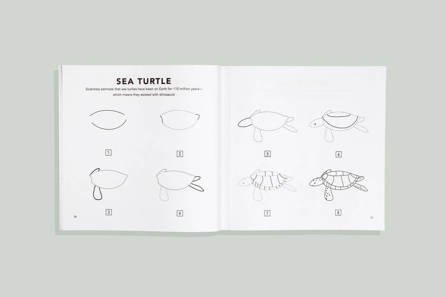Under the Sea: A How to Draw Art Book for Kids