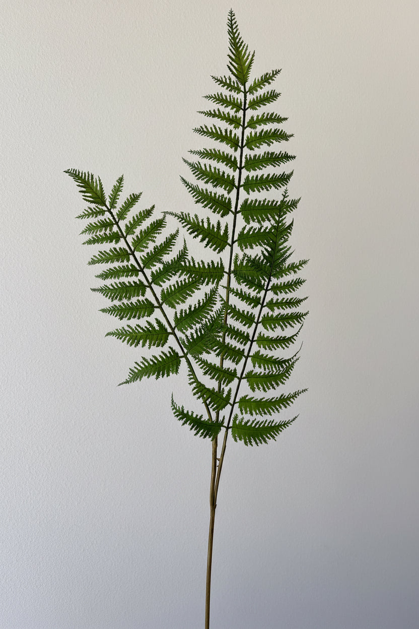 Fern Spray