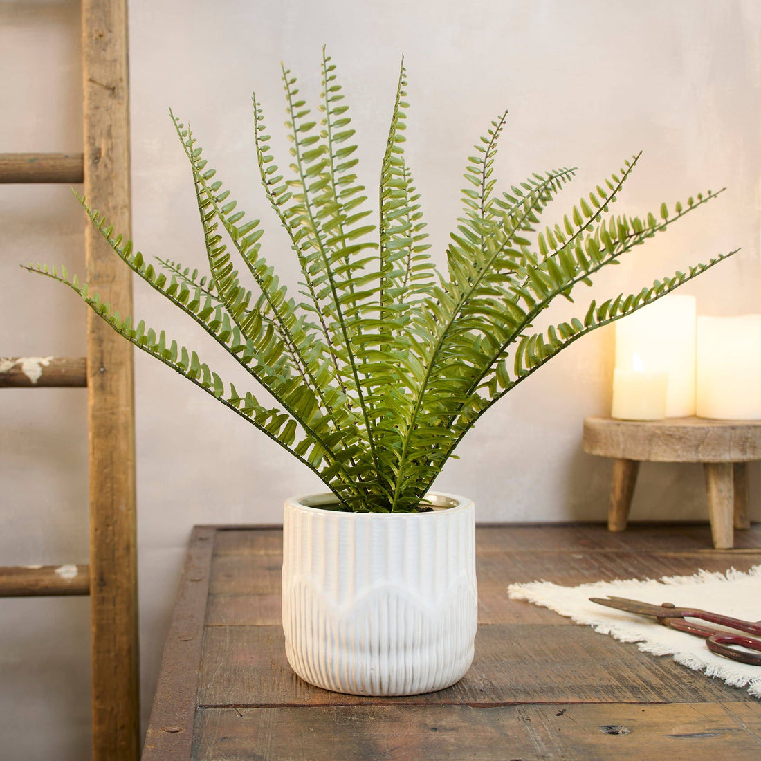 Fern Planter