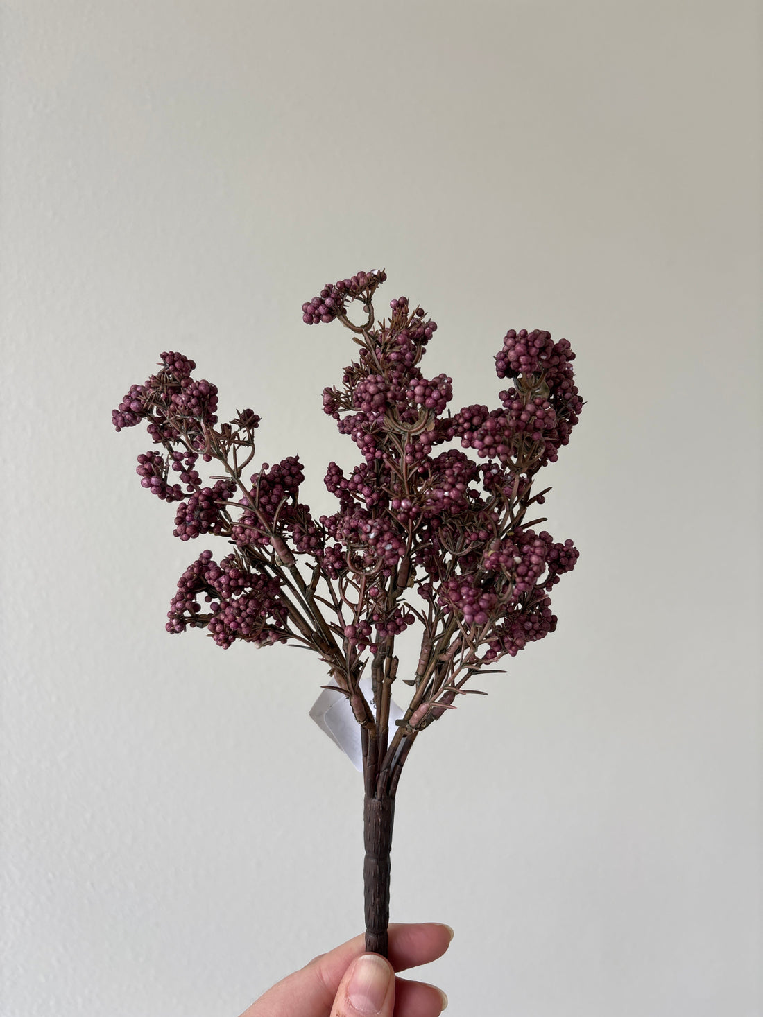 10" Avens Astilbe Bush - Purple