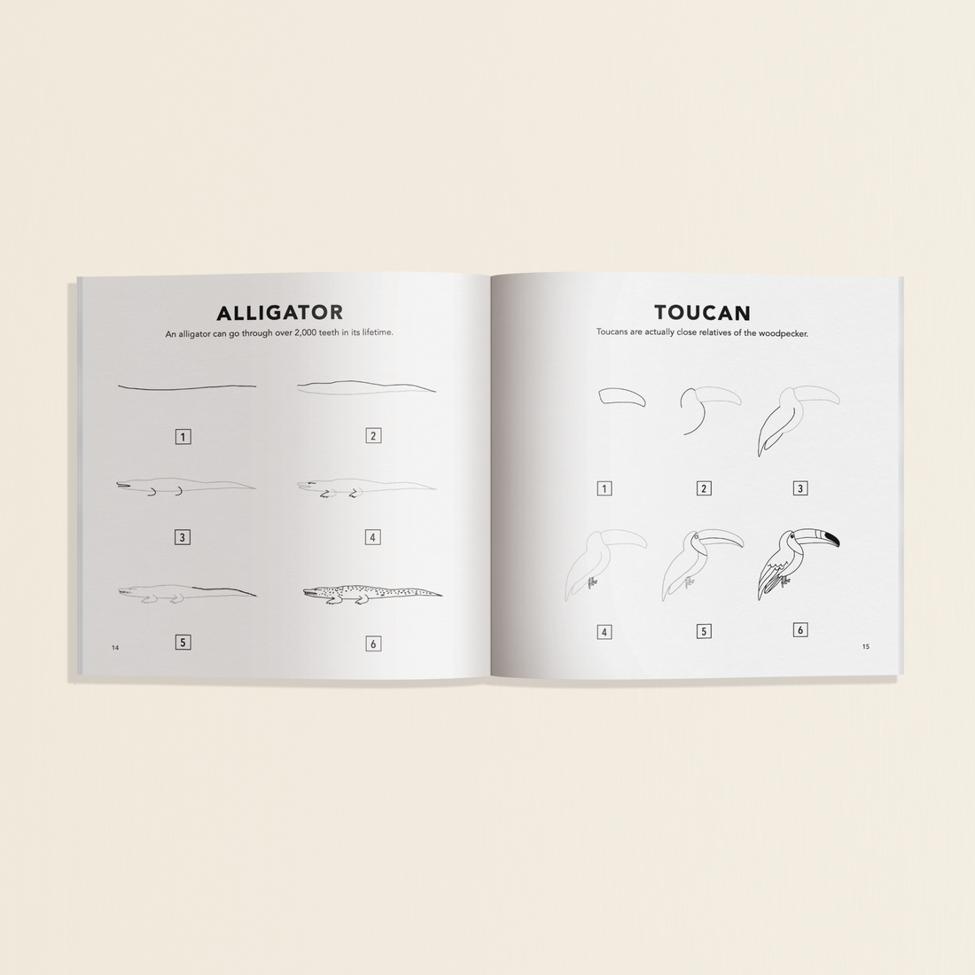 All The Animals: A How to Draw Art Book for Kids Mini