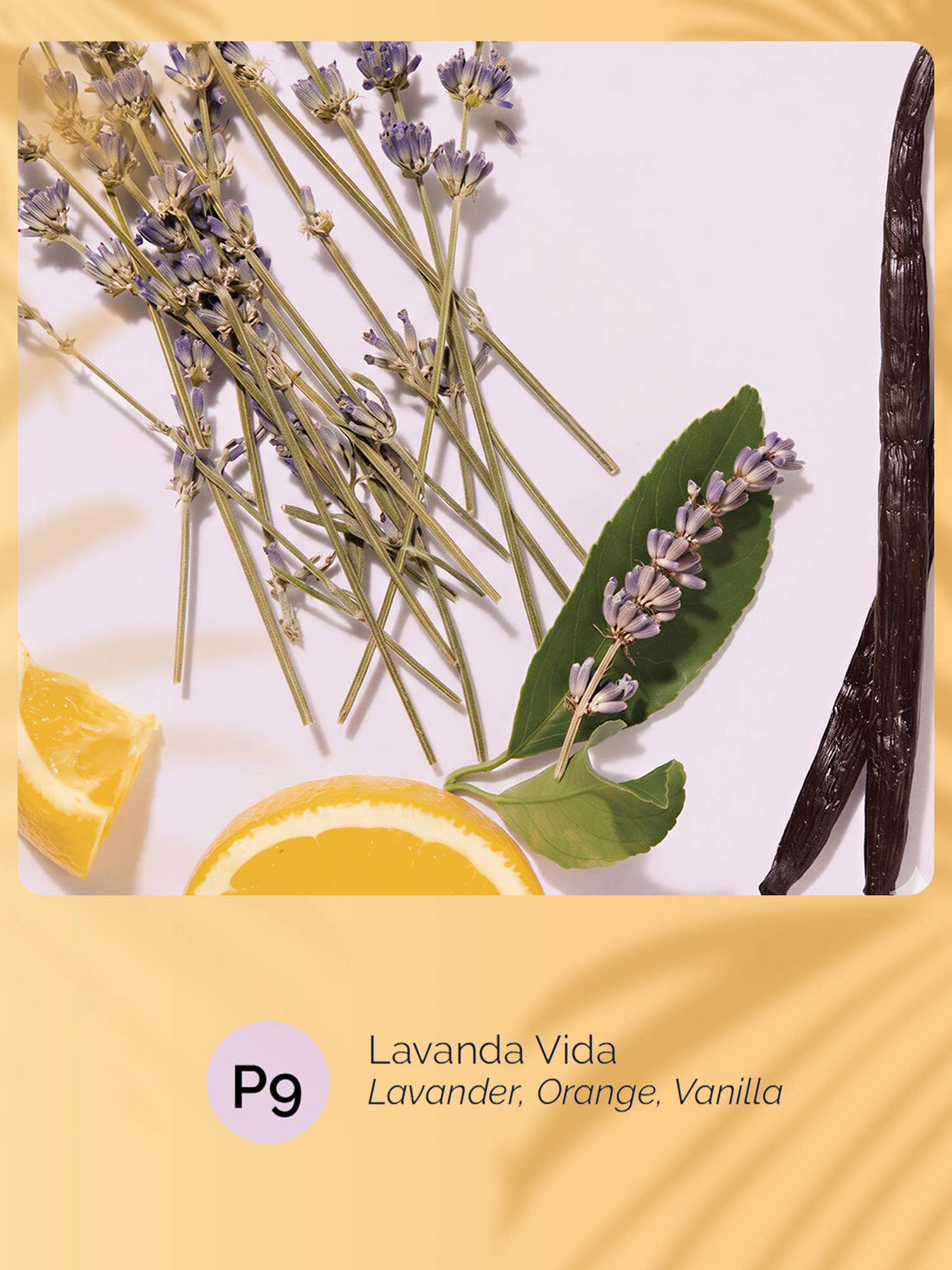 Lavanda Vida | Roll-on Pheromone Keychain Perfume Oil - 6ml: Seashell Clip