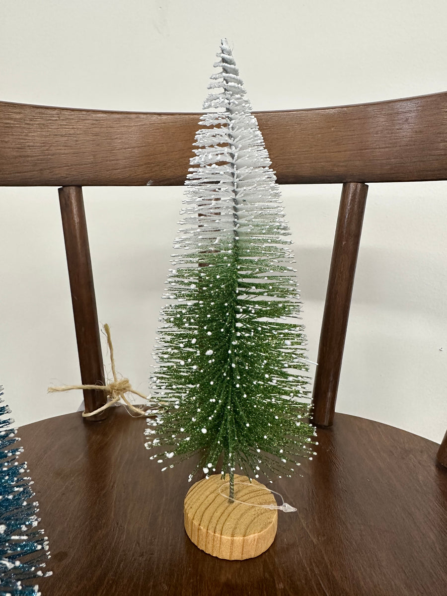 Bottle Brush Trees with Snow Frosted Top