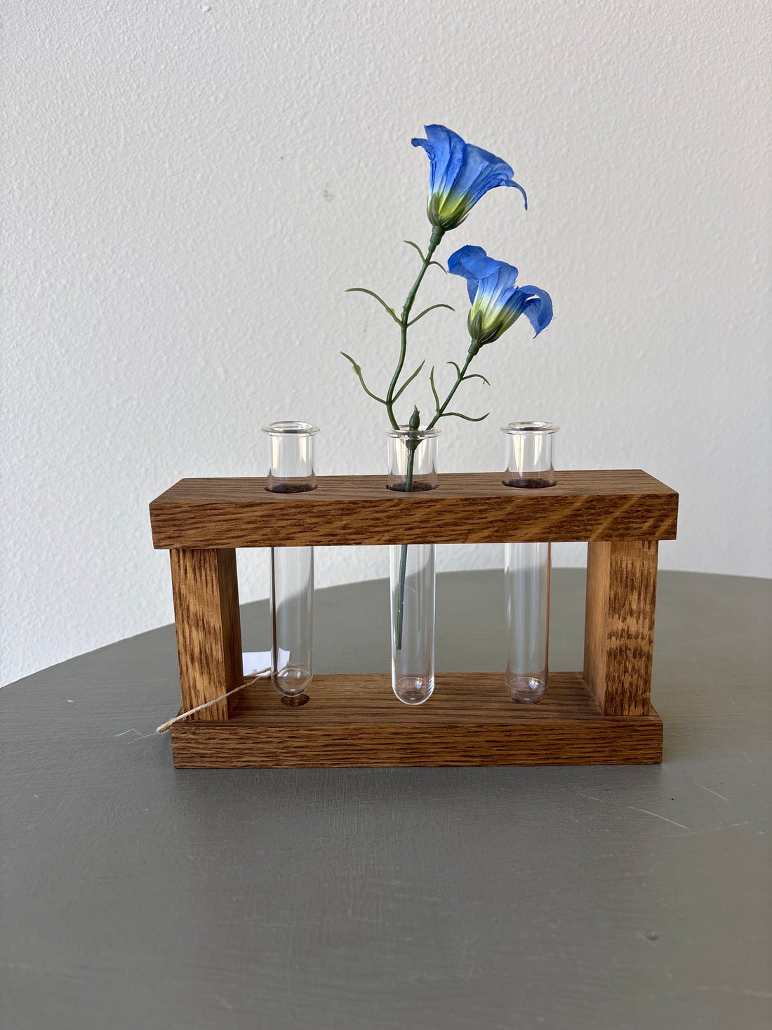 Plant Propagation Station
