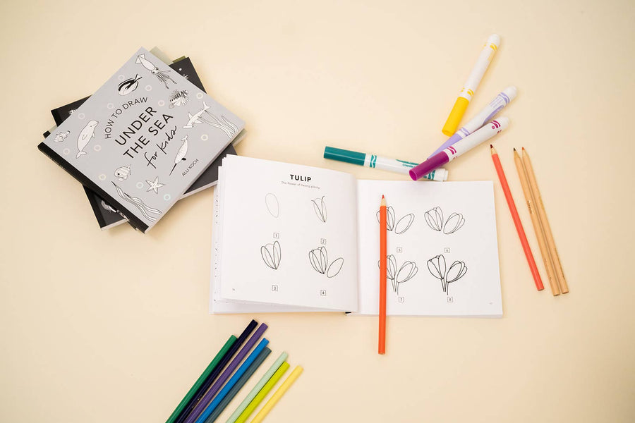 How to Draw So Many Things: A Mini Box Set of 5