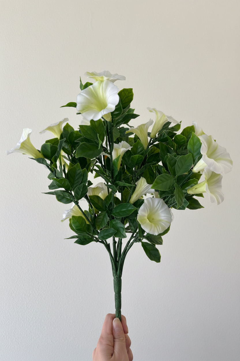 Outdoor Petunia Bush - Soft Green