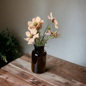 Beige Cosmos Amber Apothecary Jar Arrangement