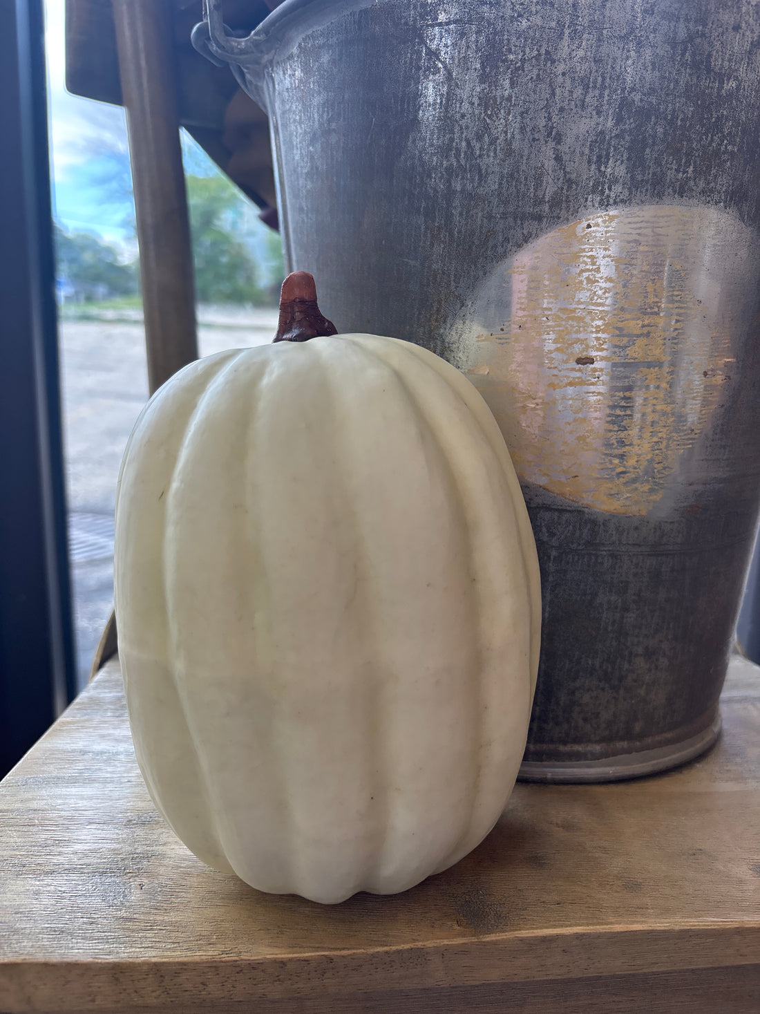 Pumpkins - 9.5"